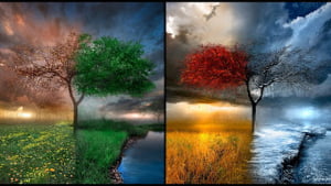 May 4, 2022 - Seasons