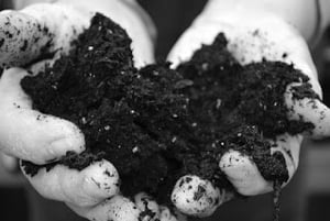 August 11, 2021 - Dust to Dust