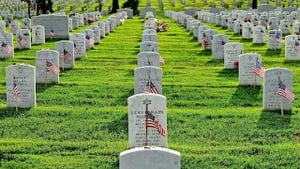September 15, 2021 - Fallen
