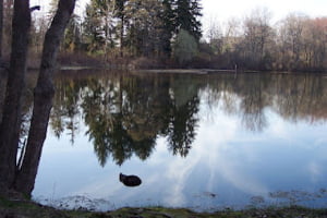 January 17, 2022 - Reflections