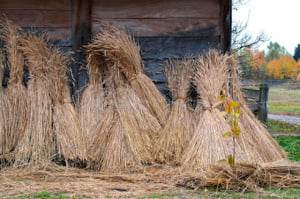 September 29, 2021 - Sheaves