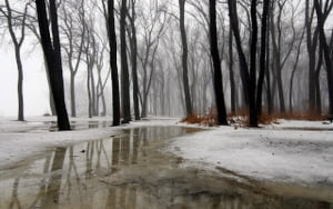 Apr. 21, 2021 - Snow Storms and Down Pours